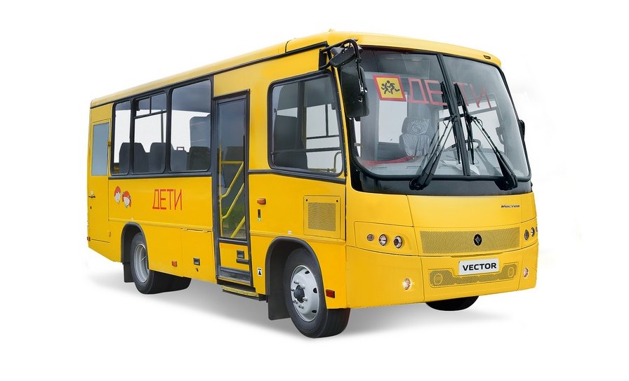 Школьные автобусы